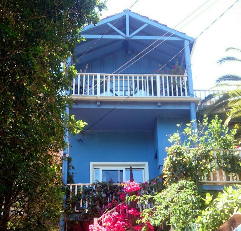 Treetops Penthouse Rose Bay Sydney, 3 Bedrooms Exterior photo